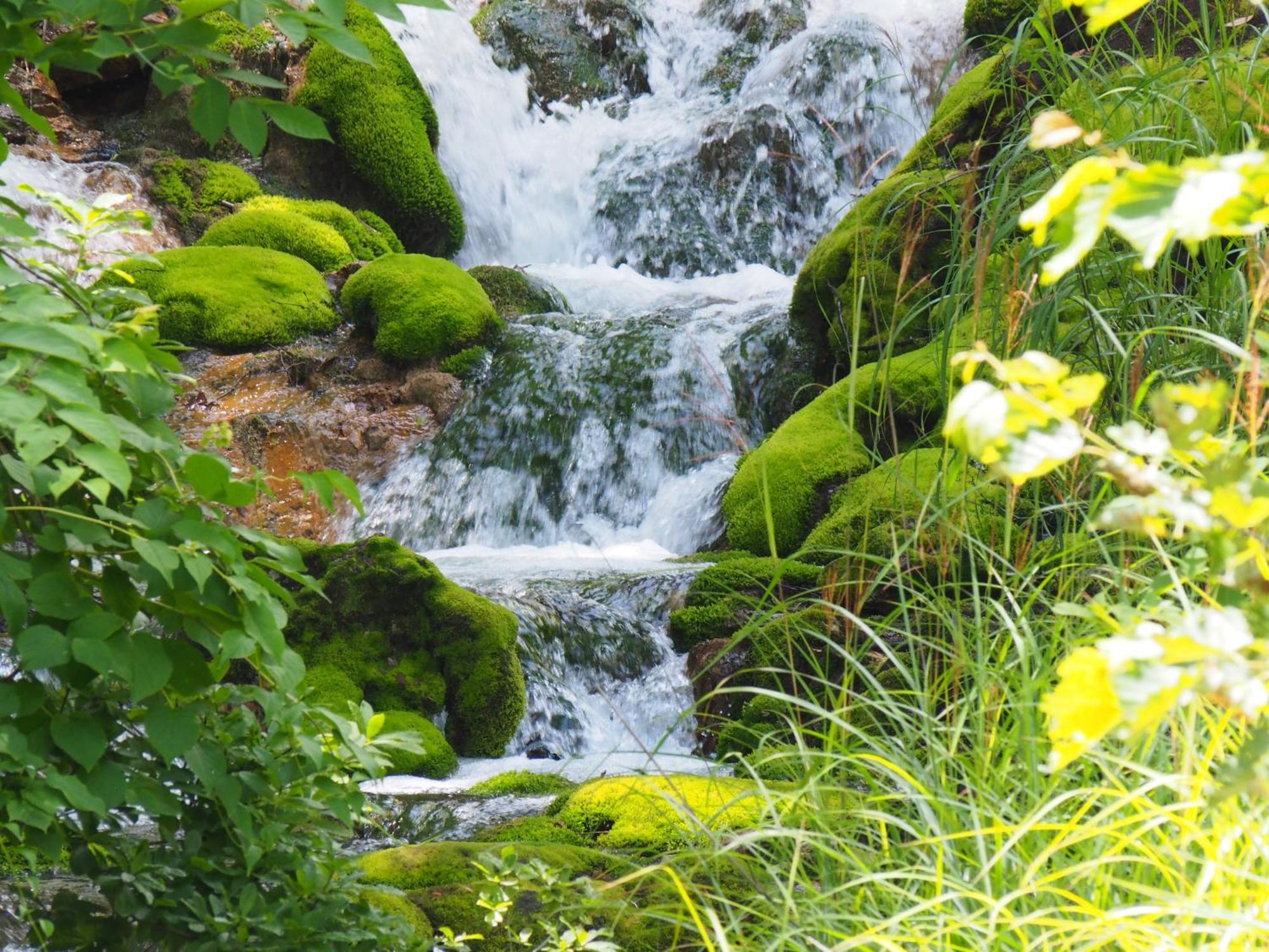 Buna Kusatsu Onsen Inn Екстериор снимка